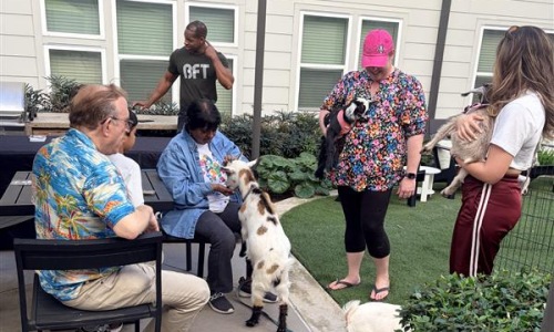 a group of people holding goats