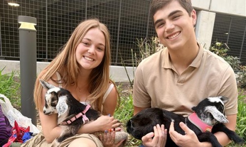 people holding goats