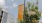 a sign on lamp post with a tree and a building behind it