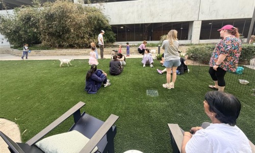 people in grassy areas socializing