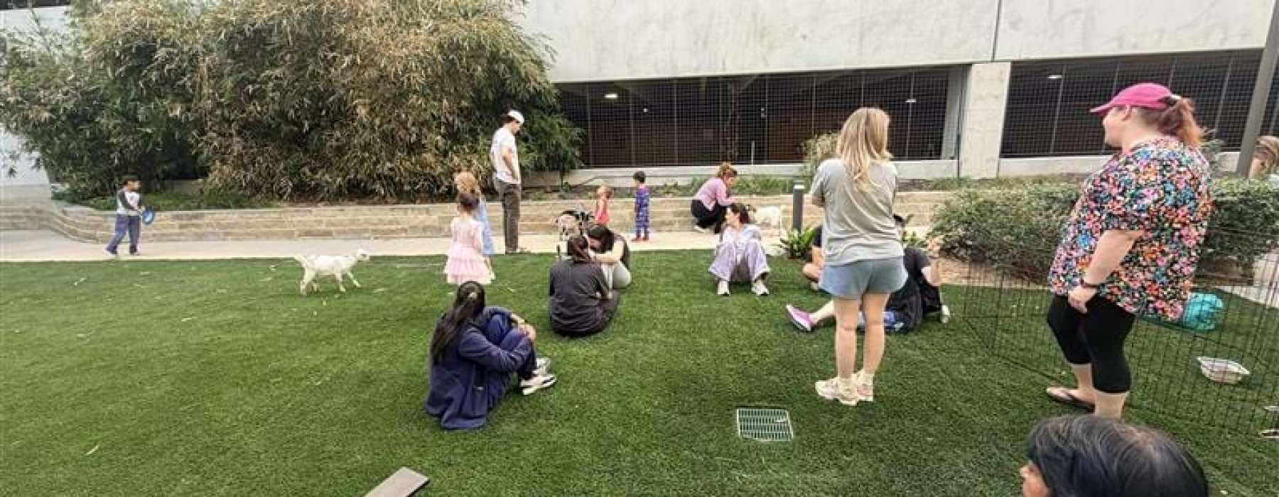 people in grassy areas socializing
