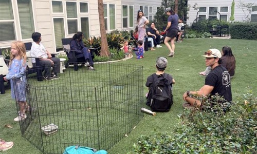 people socializing outdoors